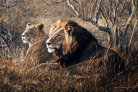 25 best images about Wildlife art on Pinterest | Knysna, Gouache and Wildlife art