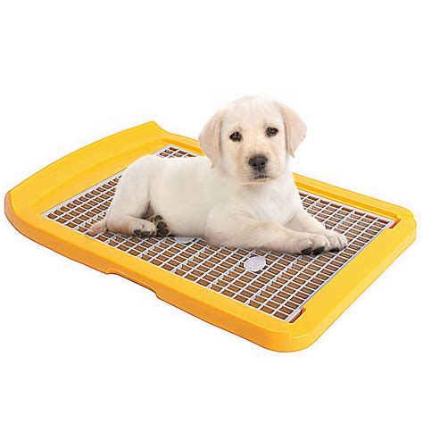 Khay vệ sinh cho chó MAKAR Dog Toilet Trays Medium | Pet Mart Cửa Hàng ...