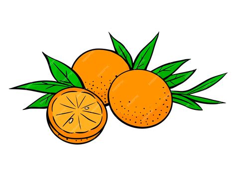 Premium Vector | Orange with leaves