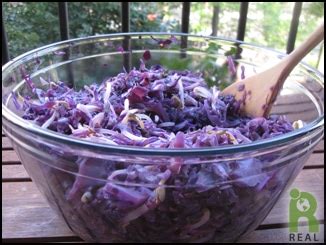 Red Cabbage Ginger Stir Fry