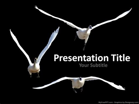 Free Flying Birds PowerPoint Template - Download Free PowerPoint PPT