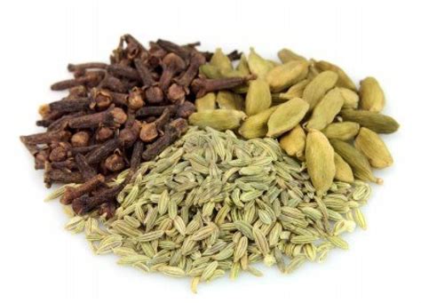 Dried Spices at best price in Jaipur by Daga Agrifarms Pvt. Ltd. | ID: 4566996673