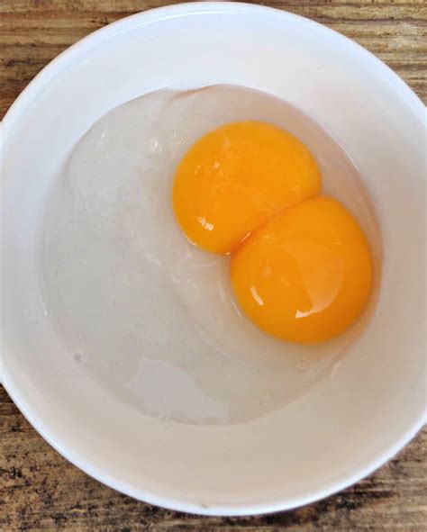 All About Double Yolk Chicken Eggs - Fresh Eggs Daily® with Lisa Steele