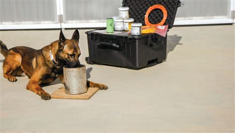 K2 Solutions: Bomb Dog Training in a Box - Training - POLICE Magazine