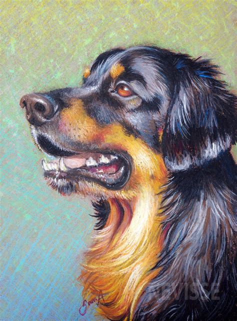 Oil pastel dog by Nevisse on DeviantArt