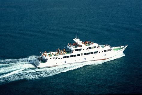 Phi Phi Cruiser (Phuket) - All You Need to Know BEFORE You Go