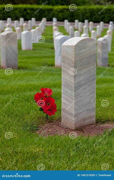 Flowers Next To a Military Grave Stock Image - Image of cloudy, national: 140151839