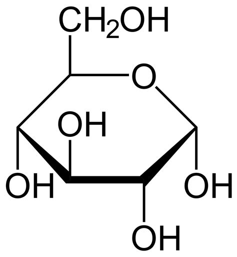 Do Blood Sugar Levels Affect the Development of Sleeping Sickness? | The Pipettepen