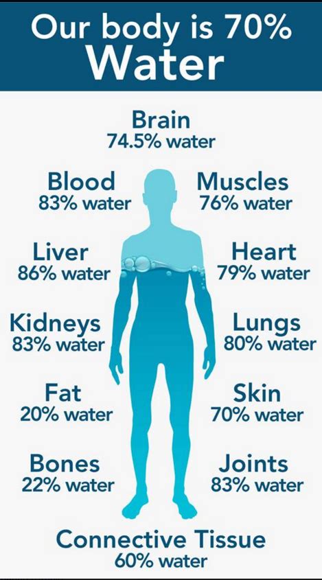 How much water should you drink? - Maine Senior Guide