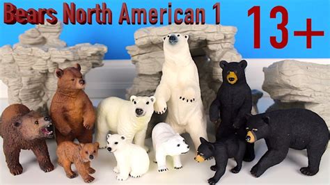 North American Bears - Polar bear, Grizzly bear, Black bear, Brown bear 13+ - YouTube