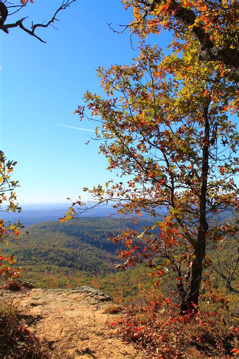 White Rock Mountain Rim Trail (Ozark Forest) - 2 mi | Arklahoma Hiker