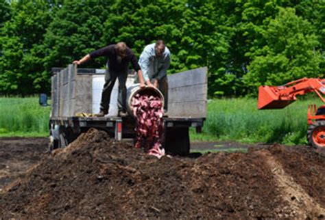 Fish Waste Composting Process, How to Compost Waste Fish