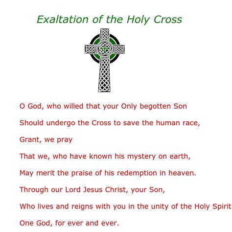 Daily Homilies: Feast of the Exaltation of the Holy Cross