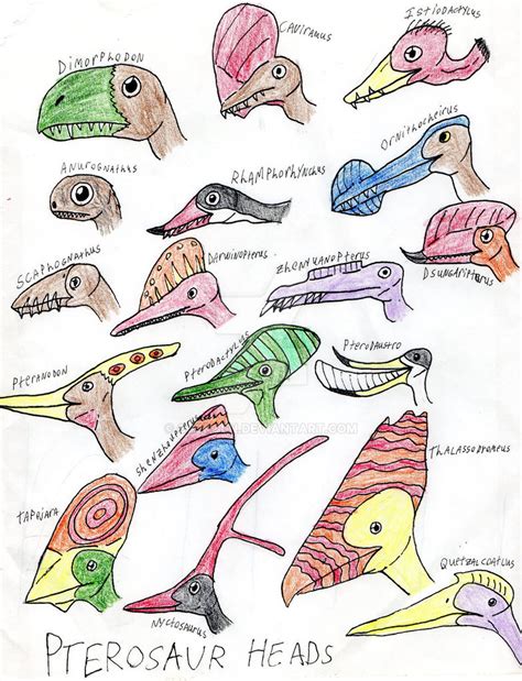 Pterosaur Heads by CJCroen on DeviantArt