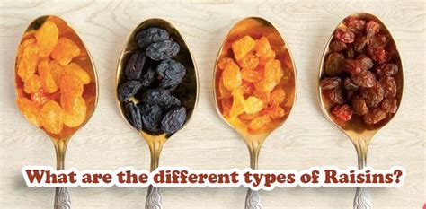 What are the different types of Raisins? - Sayna Safir