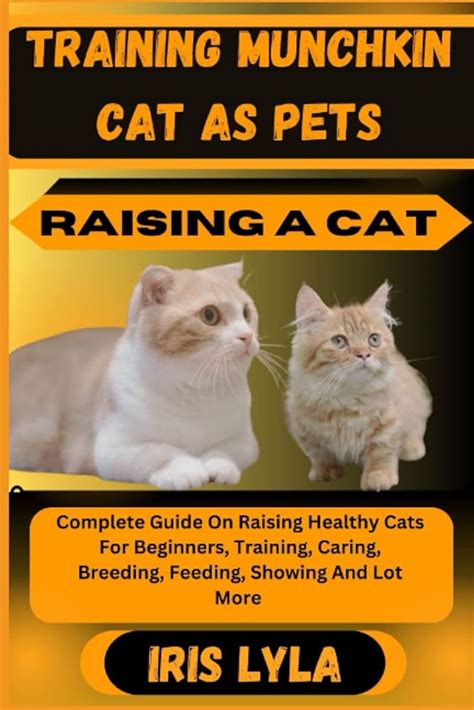 Munchkin Cat Health Problems: A Complete Guide