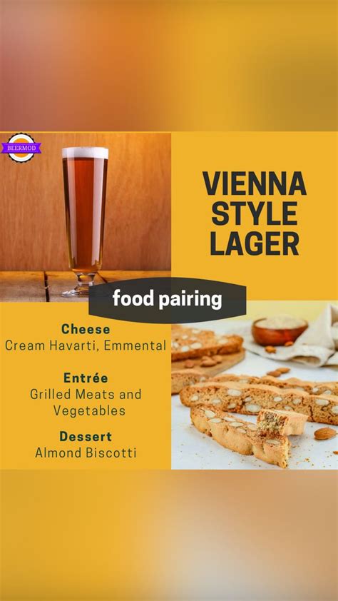 Vienna Style Lager Food Pairing: An immersive guide by Beermod