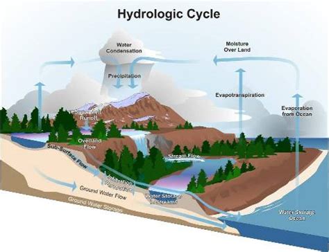 The Hydrologic Cycle – Climate, Forests and Woodlands