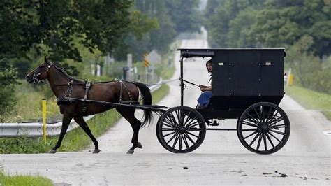 Amish fight ordinance requiring them to put poop bags on their horses | The Kansas City Star