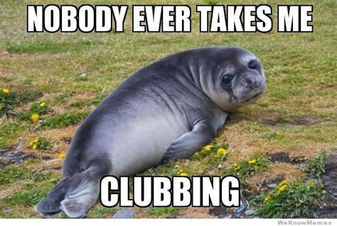 345th comment takes seal clubbing... - Meme by soger7 :) Memedroid