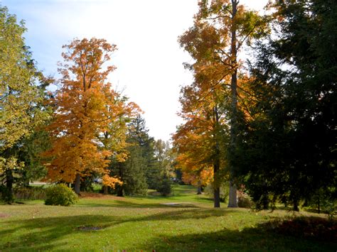 Fall Wagon Tours | The Dawes Arboretum