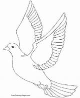 Free Printout For A dove Pattern  color Online Printable coloring sketch template