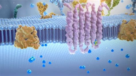 Medical Animation for Pharma MoA and all major Therapeutic Areas