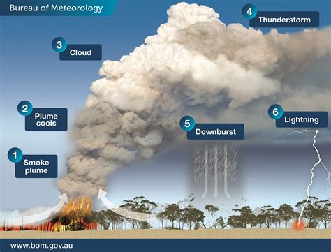 When bushfires make their own weather - Social Media Blog - Bureau of Meteorology