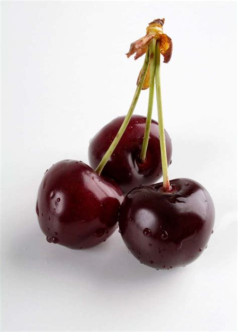 Cherry | Definition, Trees, Fruits, Types, Cultivation, & Facts ...