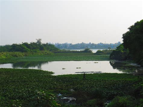 Perumbakkam Lake (Waterbodies of Chennai - 53)