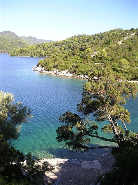 Best Beaches in Croatia - Saplunara, Mljet, Croatia. | Croatia beach, Croatia travel, Croatia