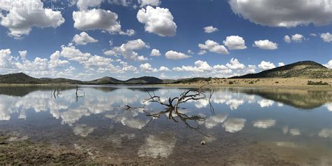 Pilanesberg National Park – Gabriel Paladino Ibáñez | Collections, Science & Photography