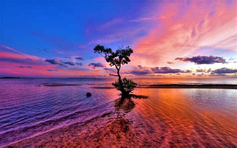 Pink Landscape Wallpapers - Top Free Pink Landscape Backgrounds ...