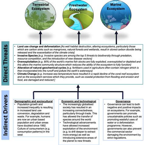 Ecosystem Services: the fundamentals | Green Element Blog