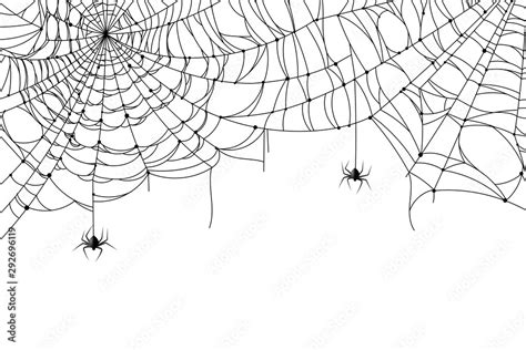 Cobweb background. Scary spider web with spooky spider, creepy arthropod halloween decor, net ...