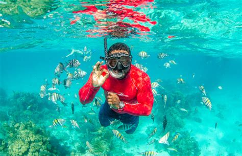 The 10 Best Caribbean Snorkeling Spots