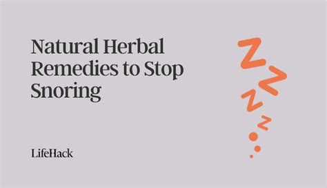 6 Natural Herbal Remedies to Stop Snoring - LifeHack