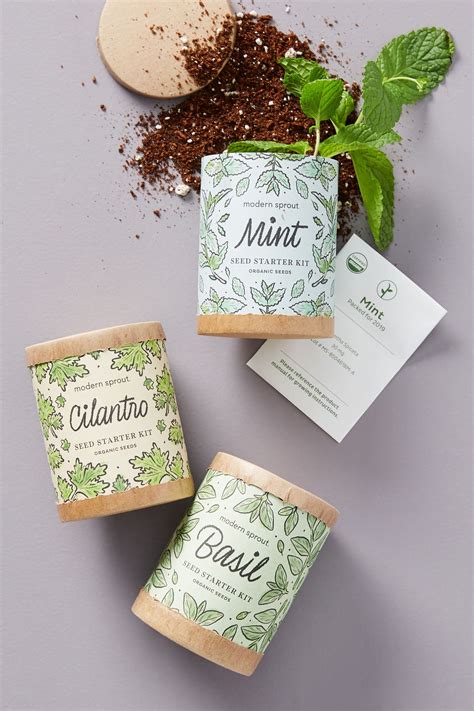 Modern Sprout Seed Starter Kit | Seed starter kit, Seed starter, Hydroponic growing