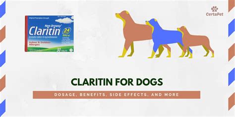 Claritin for Dogs: Dosage, Benefits, Side Effects, and More! - Veterinarians.org