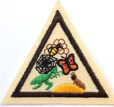 Pin on Girl Scout Council's Own Try Its