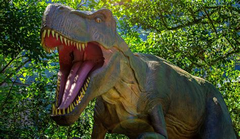 Dinosaurs are Back! - Roger Williams Park Zoo