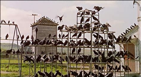 Watch: The Reason Why Alfred Hitchcock Incorporated Birds Throughout His Movies