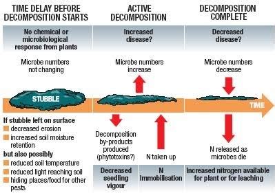 Stubble Burning Issue: - INSIGHTS IAS - Simplifying UPSC IAS Exam ...