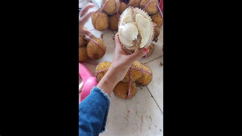 Durio kutejensis white flesh rare - YouTube