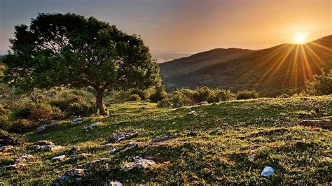 Wondrous sunset over a hillside, hills, rocks, tree, sunset, hillside ...