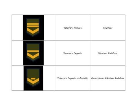 Argentine Army Enlisted rank insignia