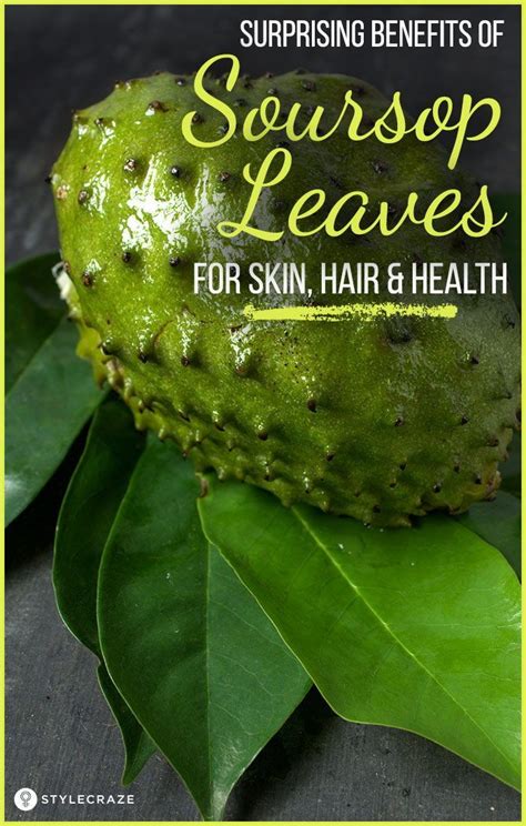 6 benefits of soursop leaves how to use and side effects – Artofit