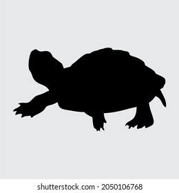 Turtle Silhouette Turtle Isolated On White: เวกเตอร์สต็อก (ปลอดค่าลิขสิทธิ์) 2050106768 ...