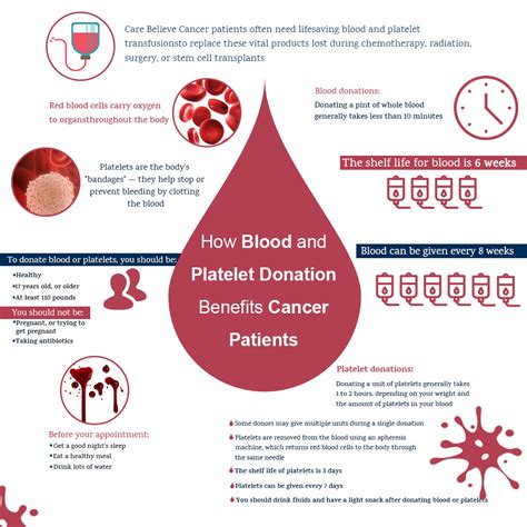 Blood Cancer Treatment In Punjab Blood Cancer Treatment Cost In Ludhiana