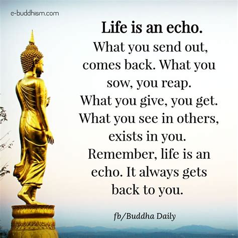 Life is an echo. | Buddhism quote, Buddha quotes inspirational, Buddha ...